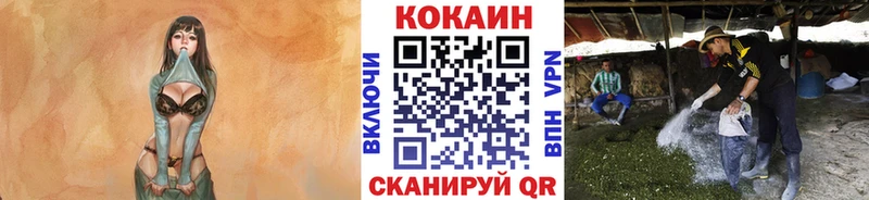 Купить закладки  Раменское  Кокаин 97% 